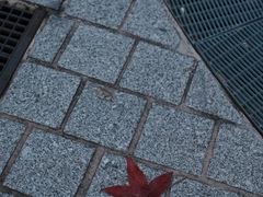 -卢森堡公园