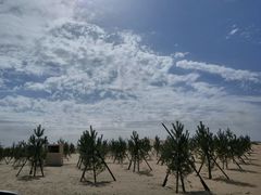 -亿利库布其七星湖沙漠生态旅游区