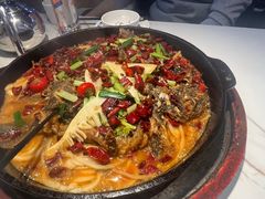 -老板恋上鱼(高新万达店)