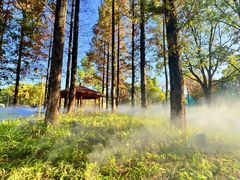 -宁波儿童公园(鄞州区)