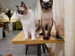 -有何Book(六堰体育馆店)
