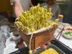 -巴奴毛肚火锅概念餐厅