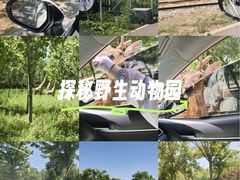 -秦皇岛野生动物园