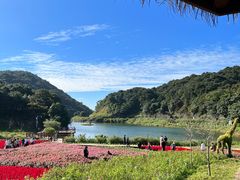 -广州市石门国家森林公园