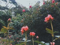 -人民公园(罗湖区)