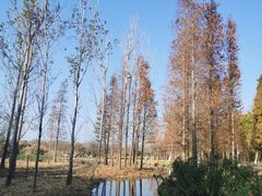 -捞渔河湿地公园