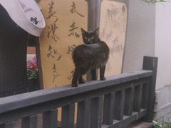 -荷风细雨·中国茶宴(碧云店)