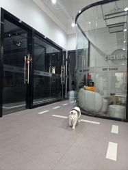-CICI街舞专业培训