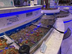 -澜悦港海鲜体验主题餐厅