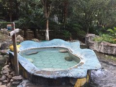 -明月山天沐温泉度假村