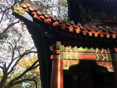 -灵谷景区