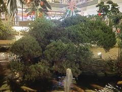 -聚福宝合苑食府(南头镇店)