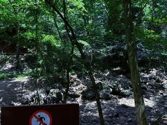 -大奇山国家森林公园