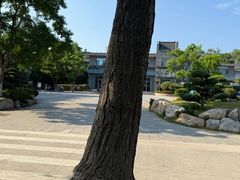 -刘公岛景区
