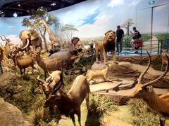 -陕西自然博物馆