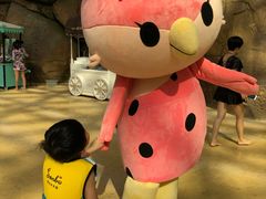 -杭州开元森泊度假乐园