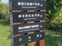 -田园东方蜜桃村的田野营地