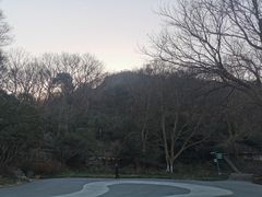 -紫金山山顶公园