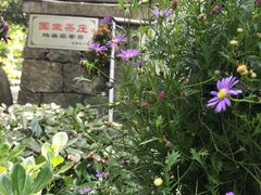 门面-国生茶庄·地道农家菜团建活动