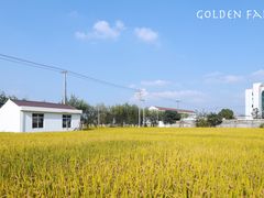 -芦恒路站-停车场