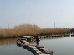 -宁波杭州湾国家湿地公园