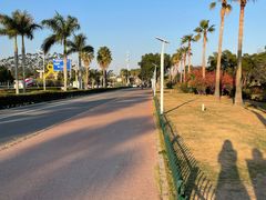 -黄金海岸环岛路