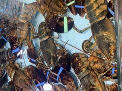 -渔民新村(番禺总店)