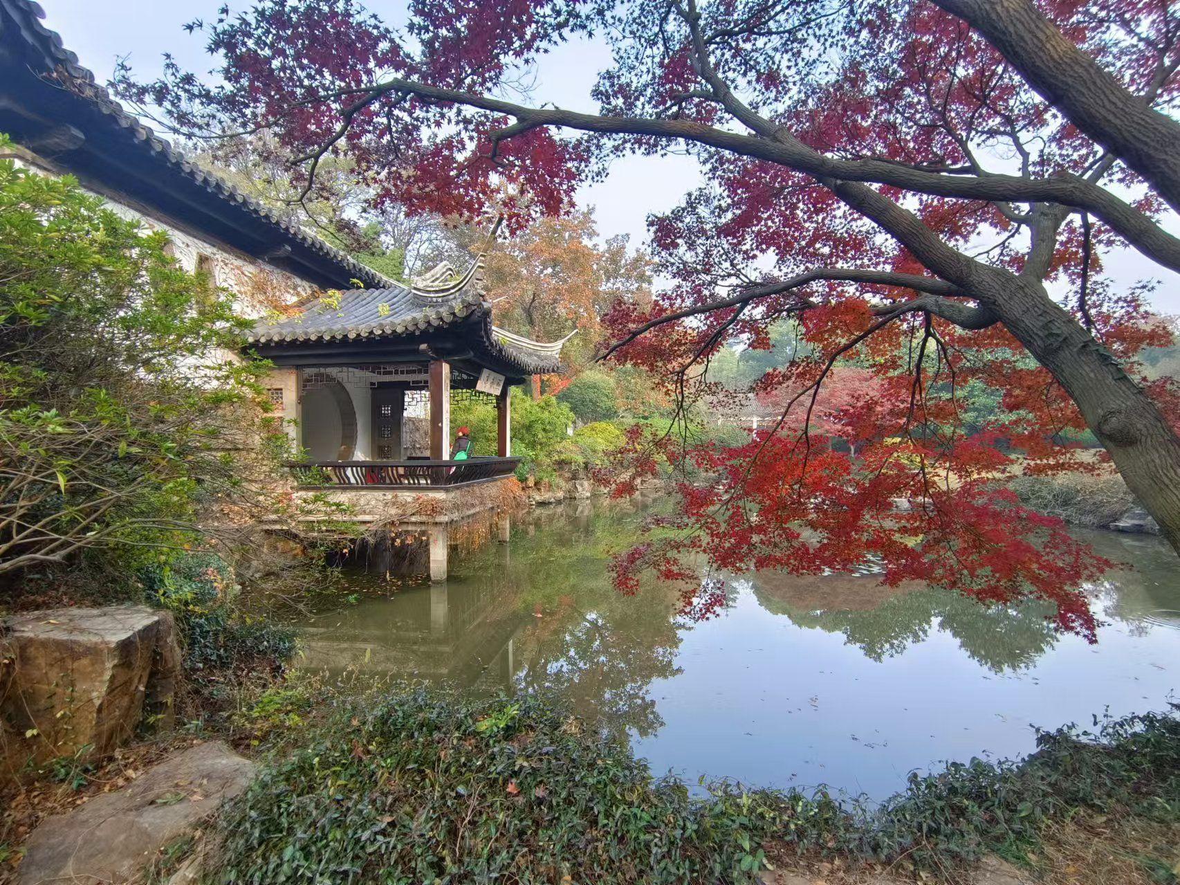 0元玩转这座城照影亭,无锡锡惠公园杜鹃