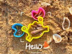 -海角城白海豚浪漫海滩