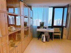 -猫十亿·布偶金渐层·曼基康矮脚猫舍(青年路店)