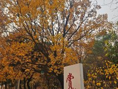 -北京鹫峰国家森林公园