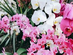 -北京植物园-展览温室