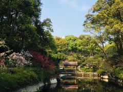 -南山植物园