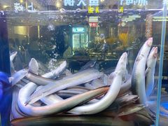 -本炙炭烤·蒲烧活鳗料理店(金沙洲店)