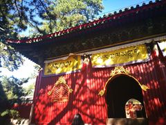 -普乐寺