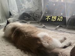 -水悦汇