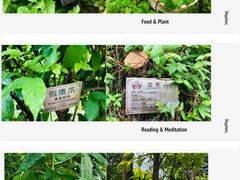-广州神农草堂中医药博物馆