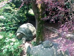 -韩湘水博园