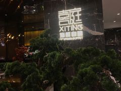 -喜庭海鲜自助(来福士店)