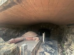 -上海佘山国家森林公园天马山园