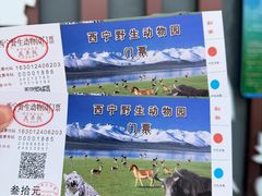 -青藏高原野生动物园
