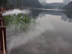 -重庆彩云湖湿地公园