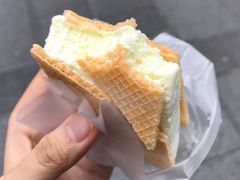 -詹爷爷乌节路街头冰淇淋