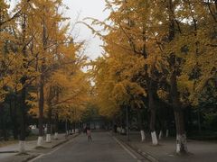 -四川大学(望江校区)