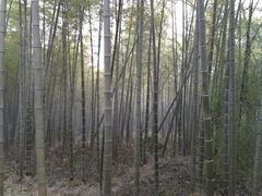 -玉女潭景区
