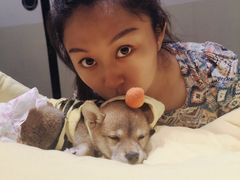-逗柴咖啡屋·狗咖猫咖宠物桌游
