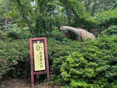 -木兰云雾山