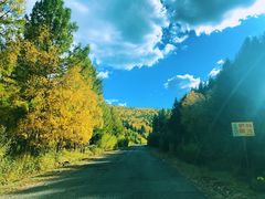 -塞罕坝国家级自然保护区