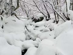 -湖州龙王山景区