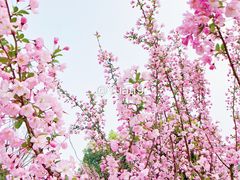 -美味之家·湖景农家乐(太湖东山店)